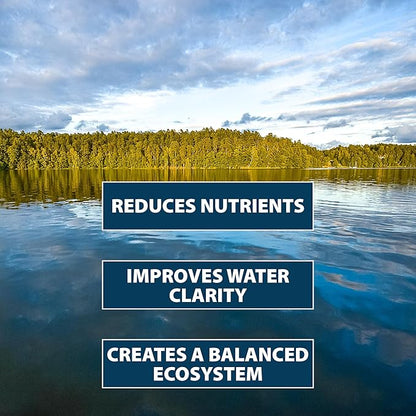Airmax PondClear Packets, Beneficial Bacteria &amp; Enzyme Clarifier Treatment with Ecoboost PRx, Clear &amp; Clean Pond &amp; Lake Water, Safe for Fish, 24 Count