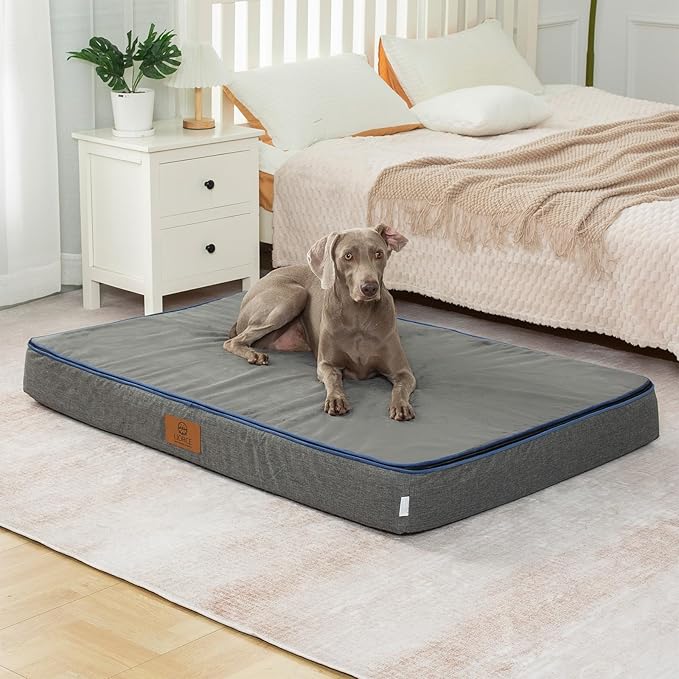 Orthopedic Memory Foam Giant Dog Bed - 6" Thick Beds for Large Sized Dog - Waterproof Removable Washable Cover &amp; Wrap-Around Zipper - Ultimate Comfort &amp; Easy Maintenance, Dark Grey