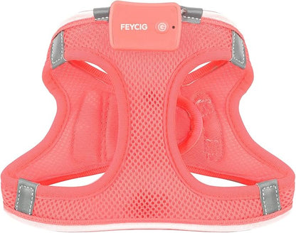 Light Up Dog Harness,Rechargeable LED Dog Harness for Small Medium Large Dogs,Reflective Lighted Safety Vest for Night Walking &amp; Camping,Lightweight &amp; Adjustable,Fluorescent Pink,XS