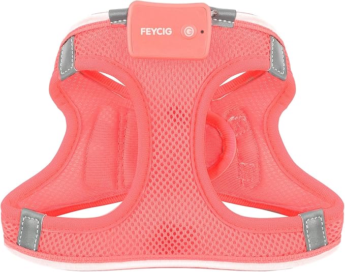 Light Up Dog Harness,Rechargeable LED Dog Harness for Small Medium Large Dogs,Reflective Lighted Safety Vest for Night Walking &amp; Camping,Lightweight &amp; Adjustable,Fluorescent Pink,S