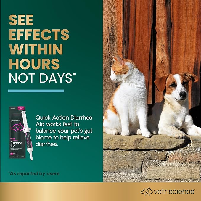 VetriScience Quick Action Diarrhea Aid Paste with Probiotics &amp; B Vitamins, Fast Balance Digestive Support Supplement for Dogs and Cats, Gut Balancer, Help Stop Diarrhea, Unflavored, 35 cc
