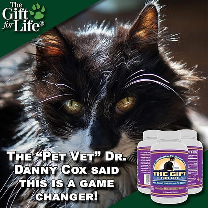Feline Peptides, Peptides for Cats, Life Extending Cat Supplement, Immune Supplement, Joint Supplement, Skin and Coat Supplement for Cats, 60 Tablets