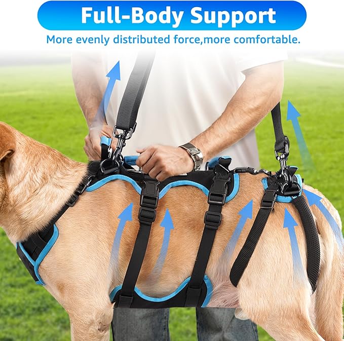 Dog Lift Harness for Large Male Dogs, 2-in-1, Back Leg Support &amp; Mobility Assistance for Senior Dogs, Post-Surgery Recovery Sling(Black, Large)