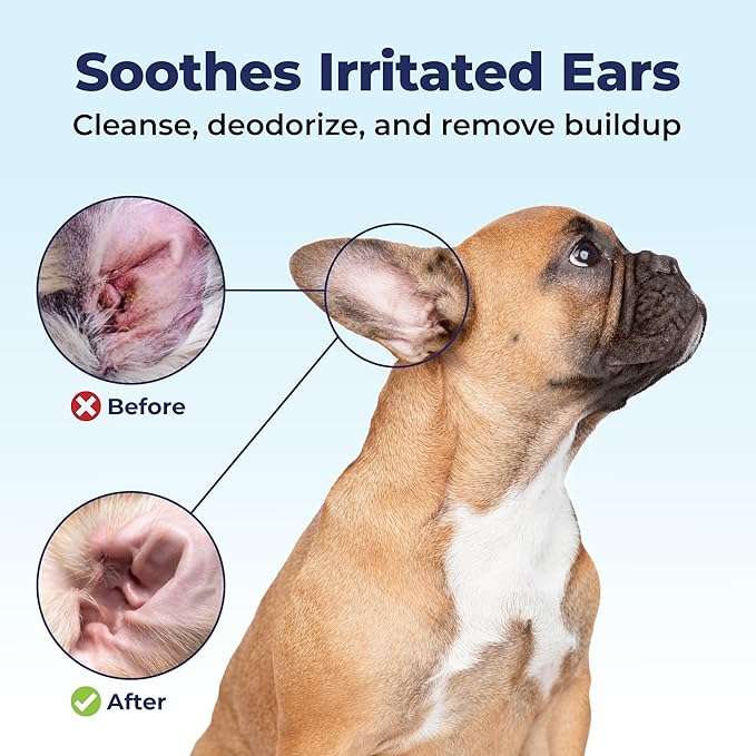 VETNIQUE Oticbliss Advanced Cleaning Ear Wipes for Dogs &amp; Cats for Odor Control, Dirt and Wax Removal with Soothing Aloe Vera, Drying Agent and Vitamin E, Clear the Ear 100ct Wipes