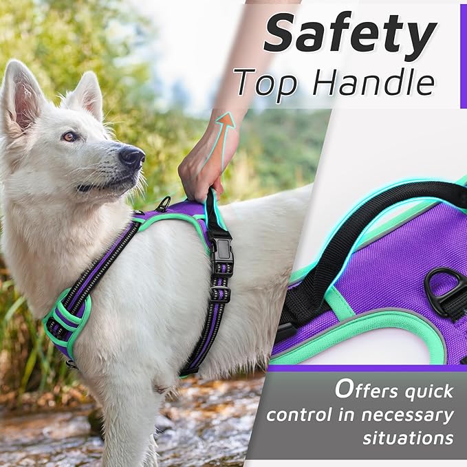 Eagloo Dog Harness for Large Dogs, No Pull Service Vest with Reflective Strips and Control Handle, Adjustable and Comfortable for Walking, No Choke Harness with 2 Metal Rings, Purple &amp; Green, M