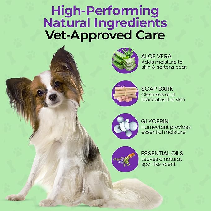 Luxury Daily Dog Deodorant &amp; Grooming Spray – Long-Lasting, Odor Eliminating Pet Deodorizer Spray for Dogs’ Coat &amp; Skin – Gentle &amp; Clean, Irresistible Fresh Spa Scent 5.07 Fl oz.
