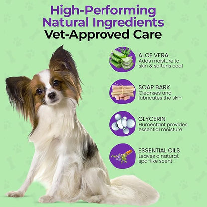 Luxury Daily Dog Deodorant &amp; Grooming Spray – Long-Lasting, Odor Eliminating Pet Deodorizer Spray for Dogs’ Coat &amp; Skin – Gentle &amp; Clean, Irresistible Fresh Spa Scent 5.07 Fl oz.