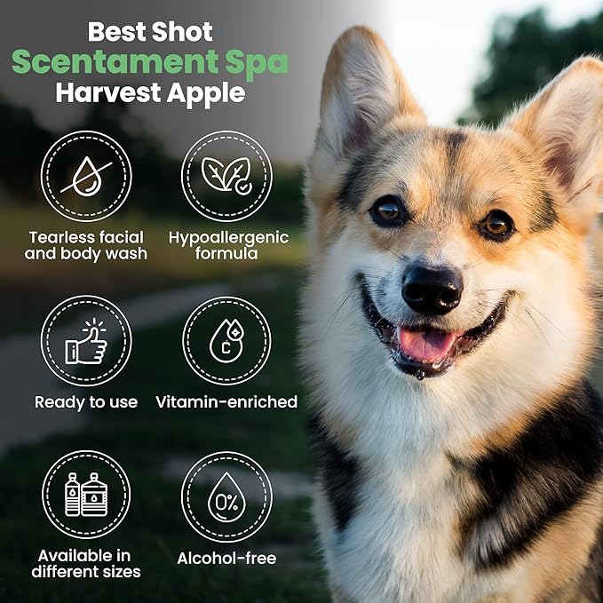 Best Shot Scentament Spa Seasonal Facial &amp; Body Wash, Harvest Apple, 1 Gallon
