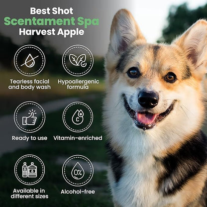 Best Shot Scentament Spa Seasonal Facial &amp; Body Wash, Harvest Apple, 1 Gallon