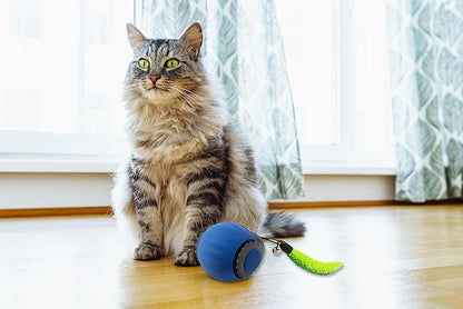 Smart Speedy 3.0 Interactive Cat Ball with Auto Obstacle Avoidance - Indoor Kitten Toy for Mental Stimulation &amp; Playtime Fun ，2025 Edition (Blue)