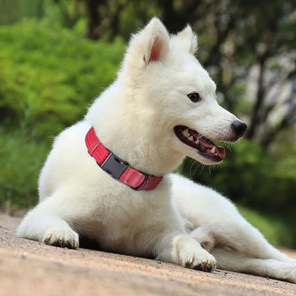 PET ARTIST Soft Cotton Dog Collar for Medium Dogs in Glamorous Red, Simple Dog Collar with Quick Release Metal Buckle &amp; D Ring, M Size (13-21")