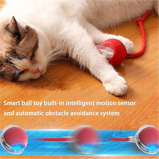 Interactive Cat Toy Ball for Indoor Cats - 3-Speed Smart Rolling Ball with Flashing Lights, USB Rechargeable Automatic Motion Kitten Toys for Bored Adult Cats &amp; Playful Kittens