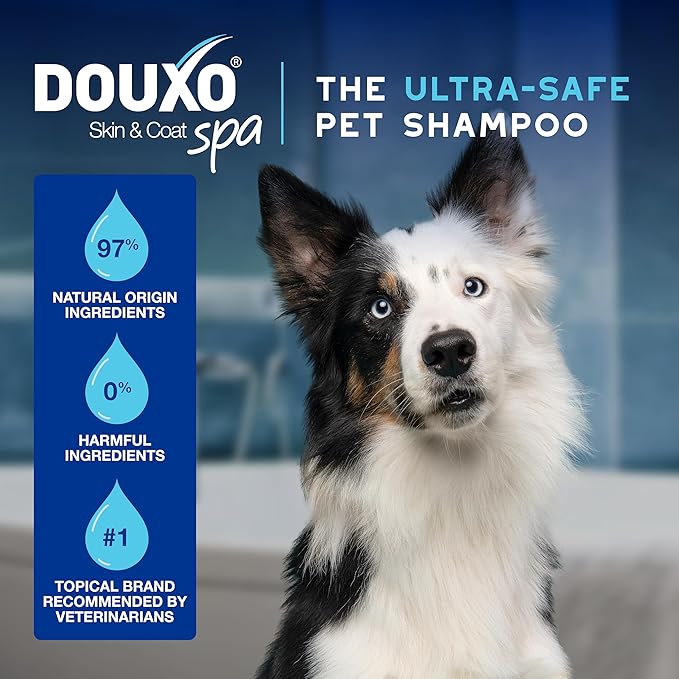DOUXO® Skin &amp; Coat SPA - Ultra-Safe Dewaxing Ear Cleaner for Dogs and Cats, 4.1 fl oz, Safely Cleans and Dewaxes The Ear, Skin-Friendly Formula