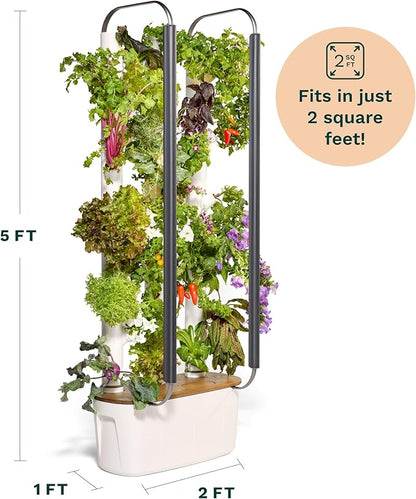 Gardyn 4.0 Hydroponics Growing System Kit &amp; Vertical Garden Planter, 30 Non-GMO Indoor Plants Smart Garden, Herbs, Vegetables &amp; LED Grow Lights for Indoor Gardening System