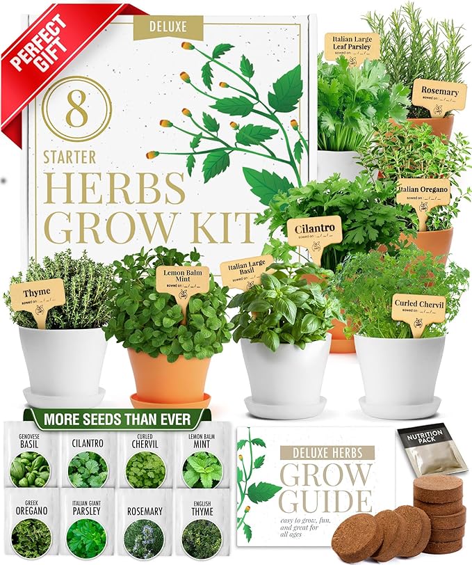 HOME GROWN 𝗣𝗥𝗘𝗠𝗜𝗨𝗠 𝗛𝗘𝗥𝗕 𝗞𝗜𝗧 8 Herb Seeds Garden Kit, Complete Indoor Planter Gift with Basil Cilantro Mint &amp; More, Unique Kitchen Growing Set for Women Men, Birthday Housewarming Present
