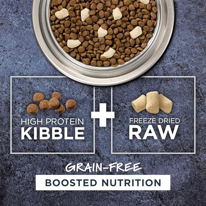 Instinct Raw Boost, Natural Dry Cat Food with Freeze Dried Pieces, High Protein, Grain Free Recipe - Real Salmon, 4.5 lb. Bag
