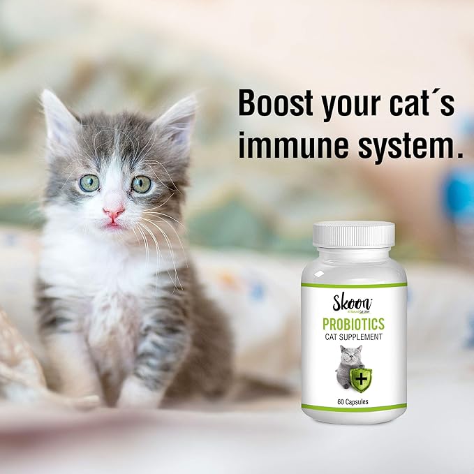 Skoon Probiotics Cat Supplement (60 Capsules) - Chicken &amp; Tuna Flavored - Improves Gut Health, Immunity, Skin Conditions, and Litterbox Smell