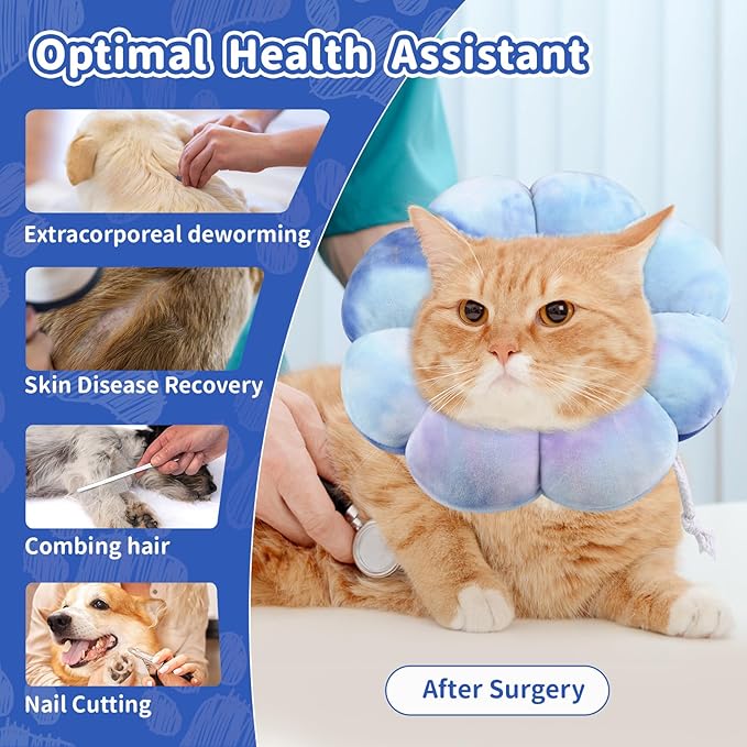 Dog Cat Surgical Recovery Cone Dog Protective Collar, Pet Recovery E-Collar Soft Neck Cone to Stop Licking Wound for Cats &amp; Kittens Small Dog After Surgery