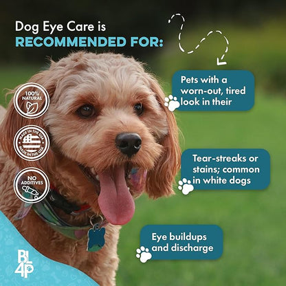 Dog Eye Care &amp; Infection Treatment, Natural Dog Supplements for Conjunctivitis, Swelling, Dry Eyes and Discharge, Easy to Use, No More Struggle with Canine Drops, 400 Small Pills