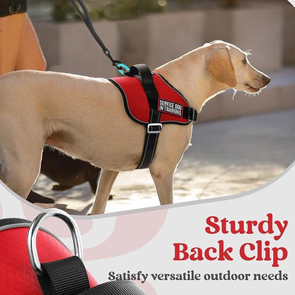 rabbitgoo Dog Harness Medium Sized, Easy On Pet Vest with One Buckle, No Pull Adjustable Service Harness with D-Ring &amp; Handle, Reflective for Safety Walking, Training, Red, M