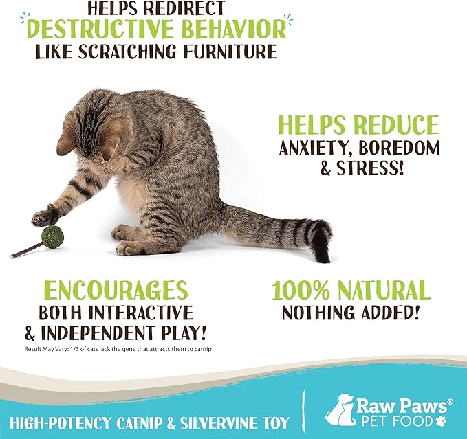 Raw Paws Catnip &amp; Silvervine Lollipops Interactive Cat Toy (6 Pack) - Silvervine Sticks for Cats - Catnip Ball Toy - Fresh Cat Nip - Silver Vine Dental Sticks
