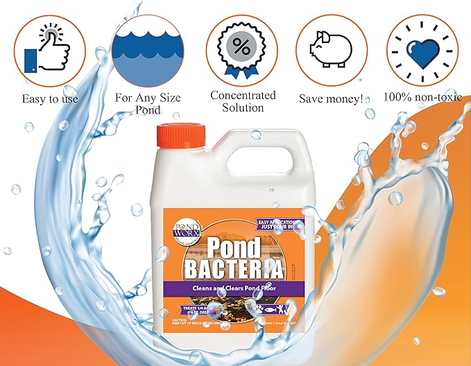 Pondworx Pond Bacteria - Concentrated &amp; Formulated for Large Ponds, Water Features - Safe for Koi - 32ounes &amp; Treats up to a Quarter Acre Pond