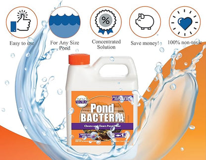 Pondworx Pond Bacteria - Concentrated &amp; Formulated for Large Ponds, Water Features - Safe for Koi - 32ounes &amp; Treats up to a Quarter Acre Pond