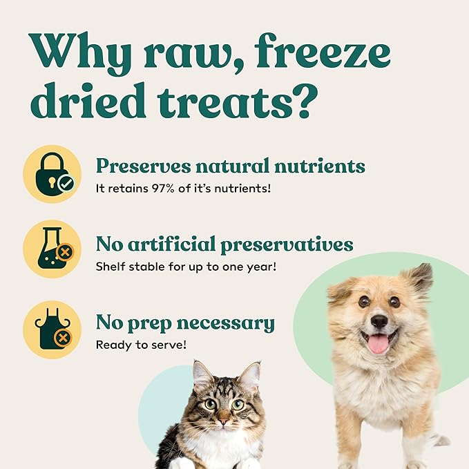 Little Hunter Freeze-Dried Raw Quail Egg Yolk for Dog &amp; Cat Treats | Single-Ingredient High Protein, High Omega-3, Grain &amp; Gluten-Free Training Reward | All Natural, Healthy Pet Treats, 4.2 oz