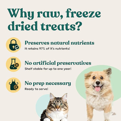 Little Hunter Freeze-Dried Raw Quail Egg Yolk for Dog &amp; Cat Treats | Single-Ingredient High Protein, High Omega-3, Grain &amp; Gluten-Free Training Reward | All Natural, Healthy Pet Treats, 4.2 oz