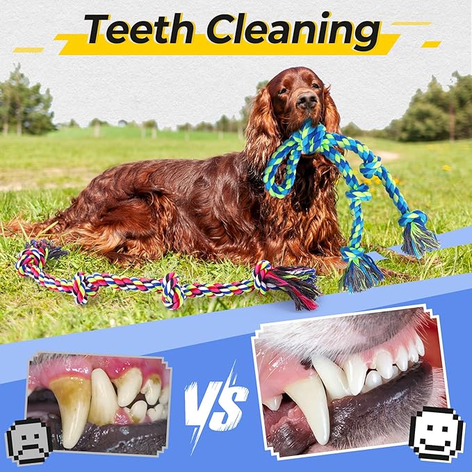 Heavy Duty Dog Rope Toys for Aggressive Chewers, Tough Tug of War Dog Toys for Large, Medium &amp; Small Dogs – 5 Pack Including 2 Ropes &amp; 3 Supplies