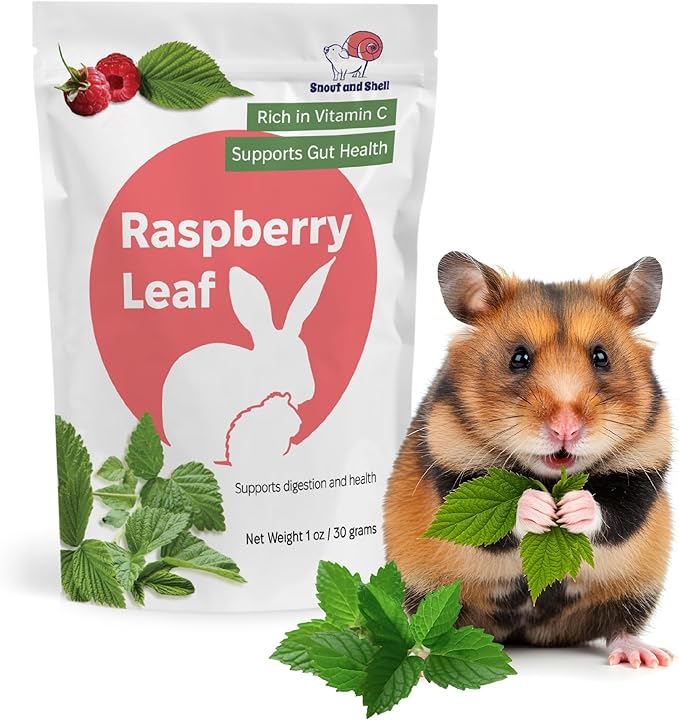 Snout and Shell Raspberry Leaf for Small Pets – 100% Natural Treat for Rabbits, Guinea Pigs, Hamsters &amp; More – Rich in Vitamin C &amp; Supports Gut Health – 1 oz (30g)