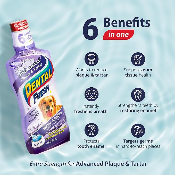 Dental Fresh Advanced Plaque and Tartar Water Additive, 17oz – Dog Teeth Cleaning Formula to Freshen Breath and Improve Cat &amp; Dog Dental Care