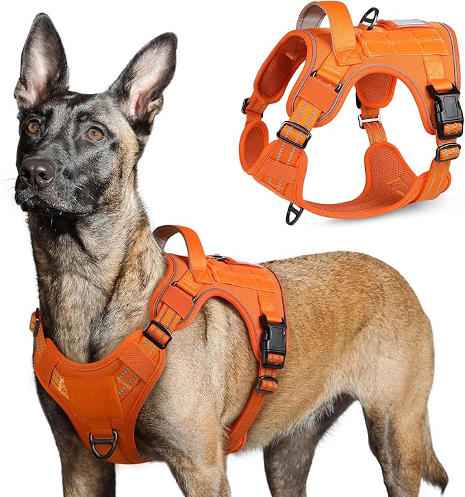 rabbitgoo Tactical Dog Harness for Large Dogs, No Pull Military Service Vest with Handle &amp; Molle, Easy Control for Training Walking, Adjustable Reflective Straps, Orange, L