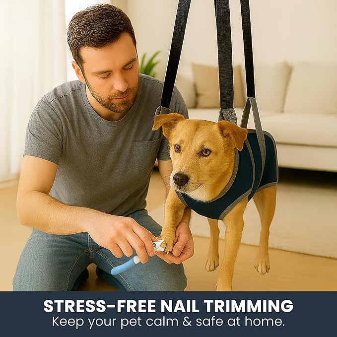 Pet Grooming Hammock Kit for Dogs &amp; Cats, Includes Hammock Harness, Nail Clippers, Nail File, Grooming Glove, Dematting Comb, S-Hooks, Carabiners &amp; Storage Bag for Easy Home Grooming Medium (86×52) cm