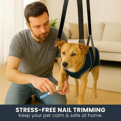 Pet Grooming Hammock Kit for Dogs &amp; Cats, Includes Hammock Harness, Nail Clippers, Nail File, Grooming Glove, Dematting Comb, S-Hooks, Carabiners &amp; Storage Bag for Easy Home Grooming Medium (86×52) cm