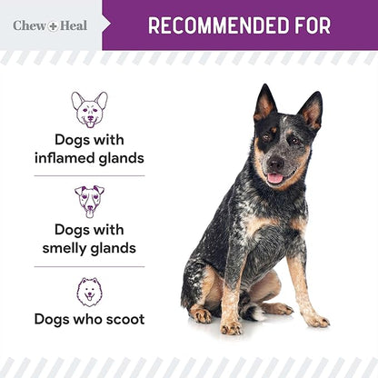 Chew + Heal Labs Glands Bowel Support - 5.4 oz of Stop The Scoot Powder for Scooting, Healthy Anal Glands, and Digestive Health - Made with Pumpkin Powder for Dogs