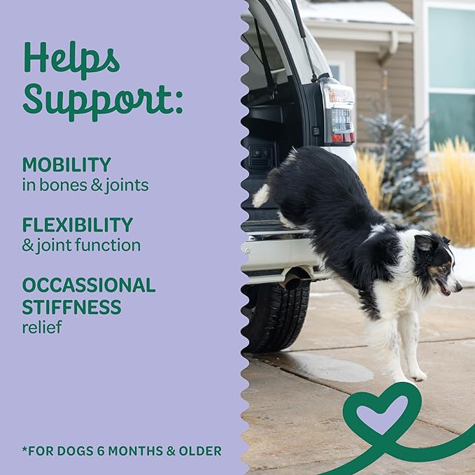 Wholesome Pride Hip &amp; Joint Supplement for Dogs – 90 Soft Chews – Glucosamine, Chondroitin, MSM &amp; Turmeric – Mobility Support &amp; Arthritis Relief for Growing, Adult &amp; Senior Dogs