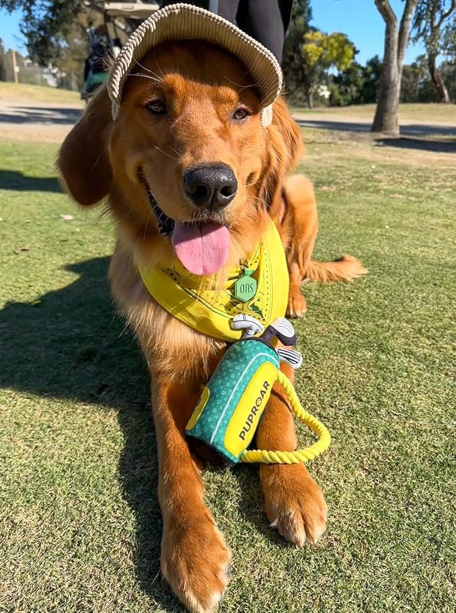 Golf Dog Toy – Birthday Dog Toy, Funny Plush Squeaky Puppy Gift with Rope &amp; Crinkle, Golf Bag Gift