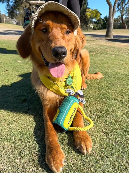 Golf Dog Toy – Birthday Dog Toy, Funny Plush Squeaky Puppy Gift with Rope &amp; Crinkle, Golf Bag Gift