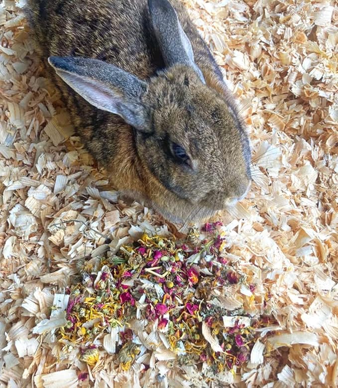 Herbal Forage Rabbit Treat &amp; Hay Topper (2 Ounces): Premium Rabbit Food, Hay for Guinea Pigs Food, Chinchilla Food, Hamster Treat Made with Organic Herbs (2 Ounce)