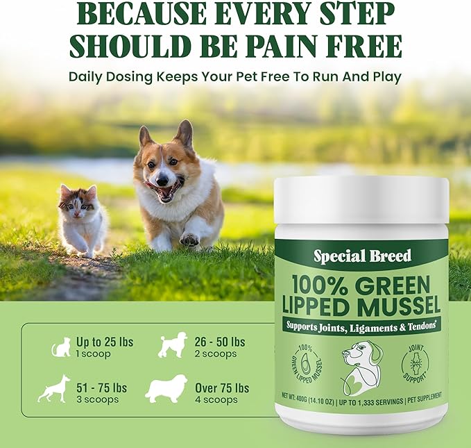 Special Breed Green Lipped Mussel Powder for Dogs &amp; Cats - 100% New Zealand Green Lipped Mussels - Natural Hip &amp; Joint Supplement for Joints, Tendons, Ligaments, Muscles - 400 Grams - 1,333 Servings
