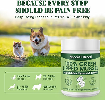 Special Breed Green Lipped Mussel Powder for Dogs &amp; Cats - 100% New Zealand Green Lipped Mussels - Natural Hip &amp; Joint Supplement for Joints, Tendons, Ligaments, Muscles - 400 Grams - 1,333 Servings