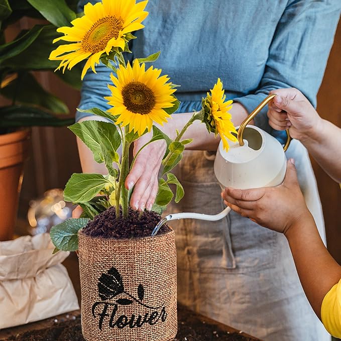 Indoor Daisy Garden Starter Kit, 4 Flower Seeds Growing into Shasta Daisy, Cornflower, Sunflower, Zinnia, Including Complete Gardening Tools, Christmas Gifts for Women Men &amp; Beginners