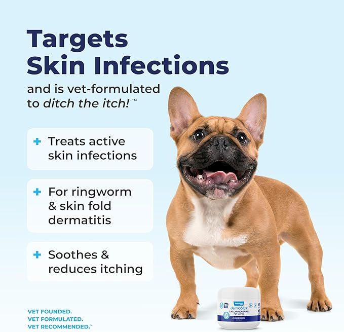 Vetnique Dermabliss Chlorhexidine for Dogs Skin Health Antibacterial Wipes for Dogs for Infections, Irritation &amp; Redness Relief (Skin Wipes, 50 Count)