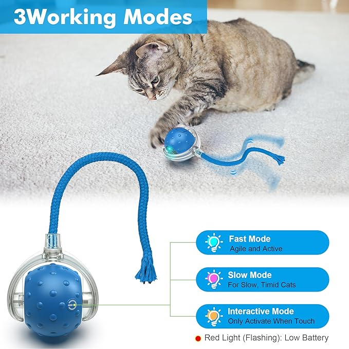 Cat Toys Ball for Indoor Cats - Interactive Automatic Cat Ball Toy | Fast Rolling &amp; Motion Activated Chirping | Hide and Seek Mouse Catching Game | Stimulates Hunting Instinct (Blue)