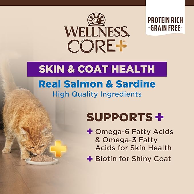 Wellness CORE+ Skin &amp; Coat Pate Adult Wet Cat Food, Natural, Protein-Rich, Grain Free, 2.8 Ounce, 12 Pack (Salmon &amp; Sardine)