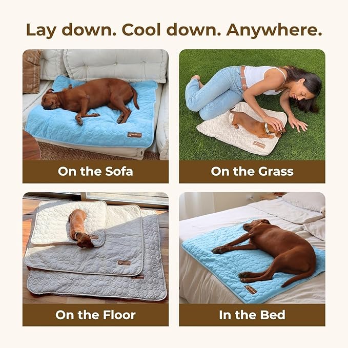 Dog Cooling Mat- Ice Silk Summer Comfort, Self Cooling, Non-Slip Dog Pad, Durable &amp; Washable, Mat for Medium Dogs 50x65 cm, Support Shelter Dogs with Every Purchase (Blue)