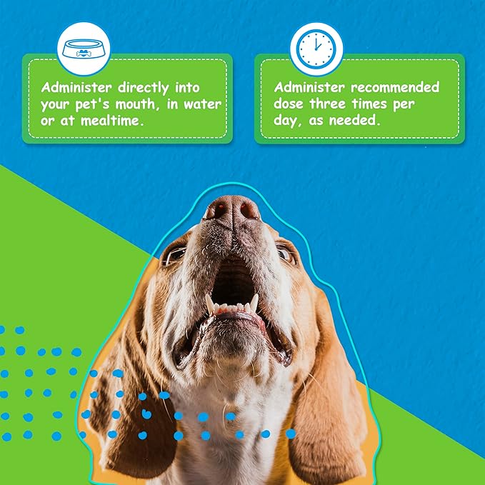 Digestive Care for Dogs, Natural Constipation Relief for Dogs and Puppies &amp; Support for Diarrhea, Bloating, Bad Breath, Vomiting, Lack of Appetite, 60 Milliliters