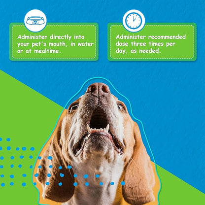 Digestive Care for Dogs, Natural Constipation Relief for Dogs and Puppies &amp; Support for Diarrhea, Bloating, Bad Breath, Vomiting, Lack of Appetite, 60 Milliliters