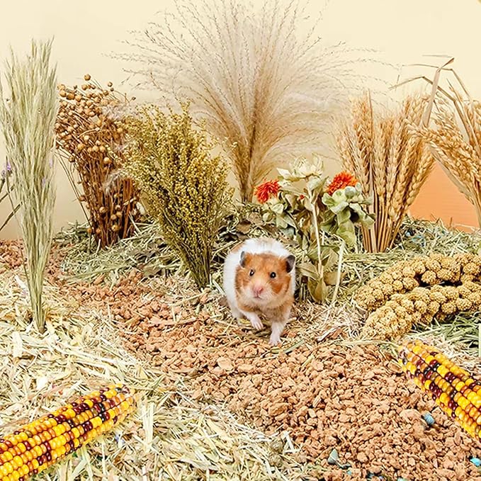 Natural Ear of Grain Flower&amp;Herb Bedding Mate Habitat Decor, Adding Fun Hamster Accessories for Hamsters Gerbils Lemming